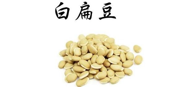 眉豆和白扁豆的區別