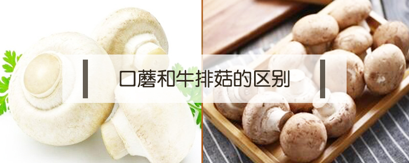 口蘑和牛排菇的區(qū)別