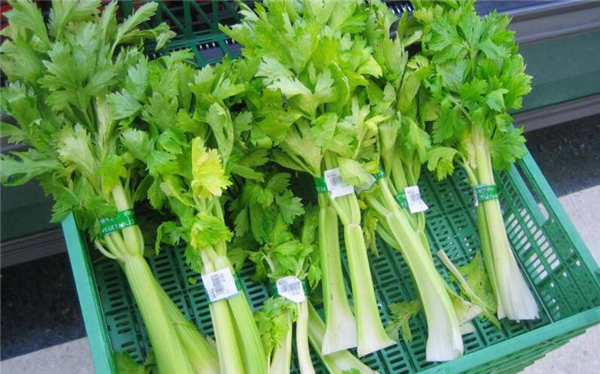 西芹和芹菜的區別