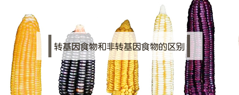 轉基因食物和非轉基因食物的區別