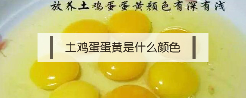土雞蛋蛋黃是什么顏色