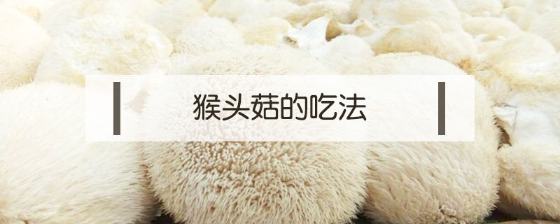猴頭菇的吃法
