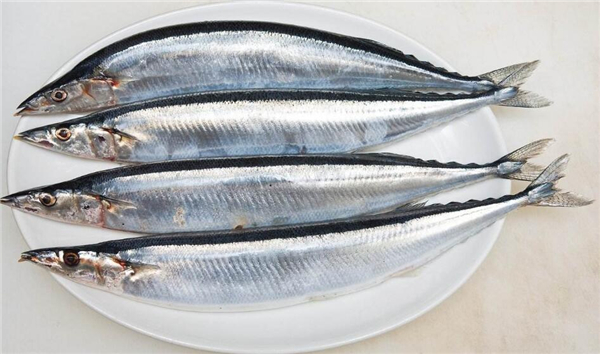 燕鲅魚和油鲅魚的區別