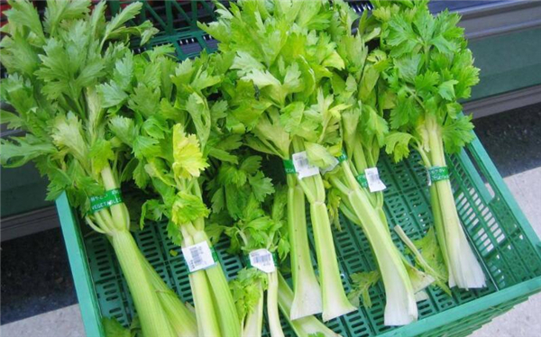 西芹是發物嗎