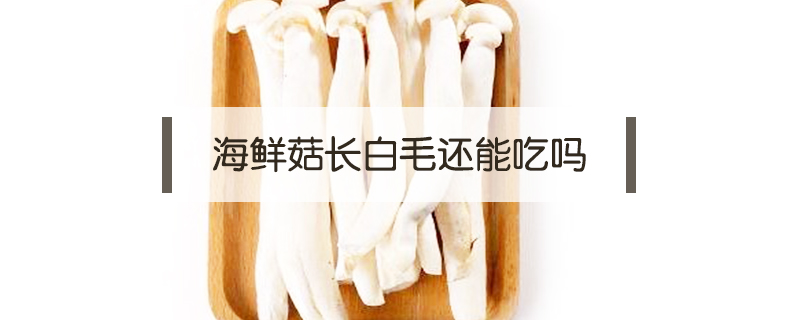 海鮮菇長白毛還能吃嗎