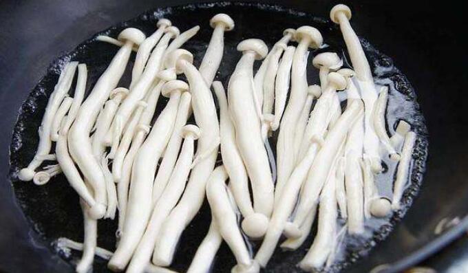 海鮮菇長白毛還能吃嗎