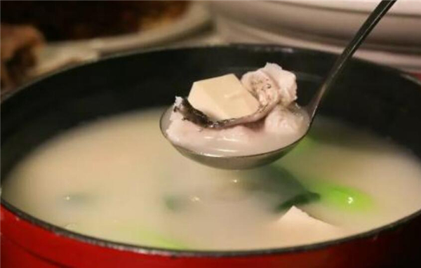 鯉魚豆腐湯的做法