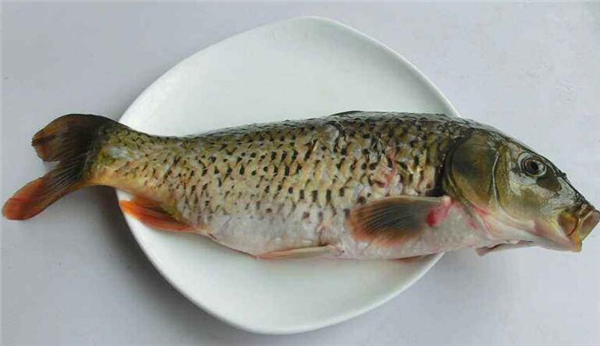 鯉魚豆腐湯的做法