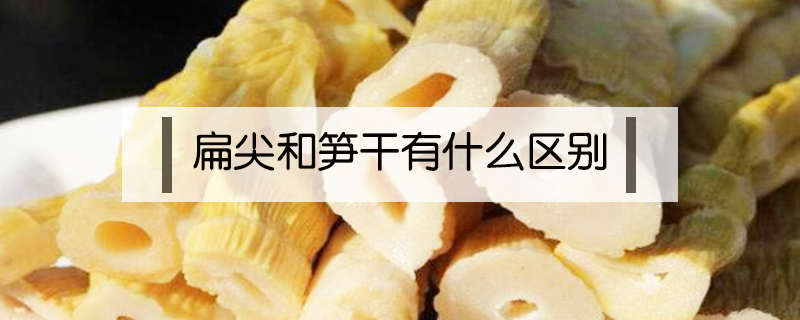 扁尖和筍干有什么區(qū)別