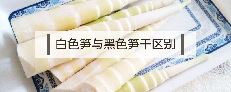 白色筍與黑色筍干區別
