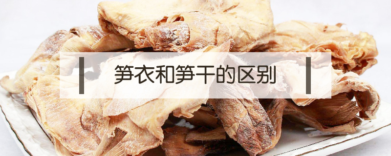 筍衣和筍干的區別