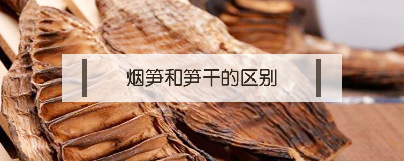 煙筍和筍干的區(qū)別