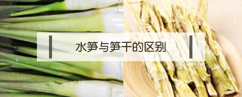 水筍與筍干的區別