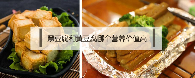 黑豆腐和黃豆腐哪個(gè)營(yíng)養(yǎng)價(jià)值高