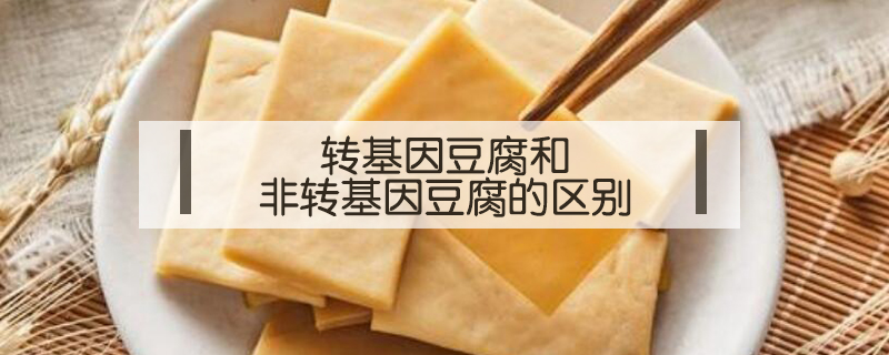 轉(zhuǎn)基因豆腐和非轉(zhuǎn)基因豆腐的區(qū)別