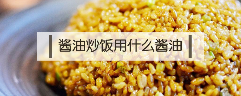 醬油炒飯用什么醬油