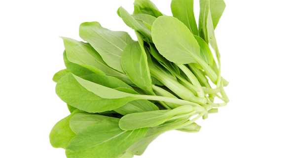 雞毛菜跟油菜跟小白菜的區(qū)別