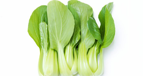 雞毛菜跟油菜跟小白菜的區(qū)別