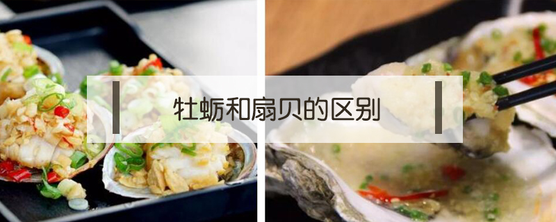 牡蠣和扇貝的區(qū)別