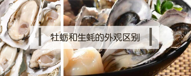 牡蠣和生蠔的外觀區(qū)別