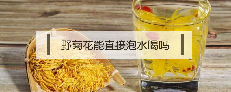 野菊花能直接泡水喝嗎