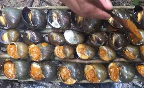 福壽螺可以吃嗎