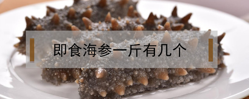 即食海參一斤有幾個