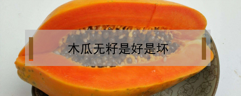 木瓜無籽是好是壞