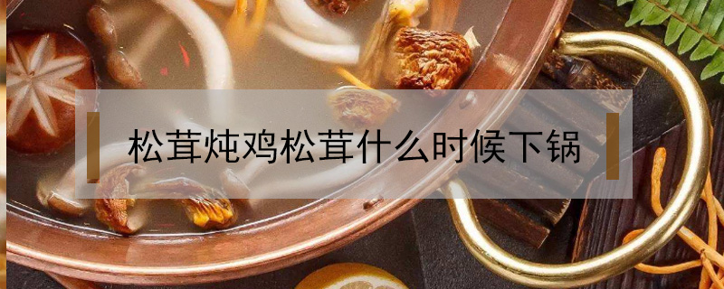 松茸燉雞松茸什么時候下鍋