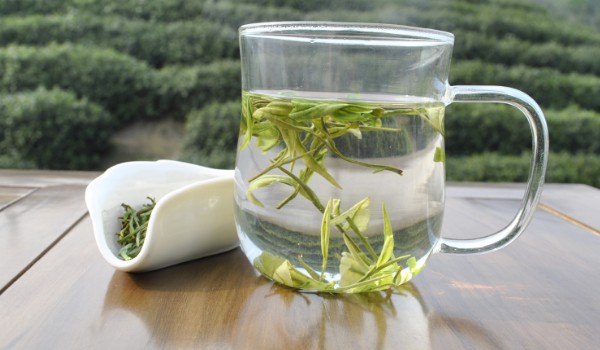 怎么分別白茶