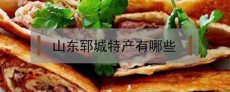 山東鄆城特產有哪些