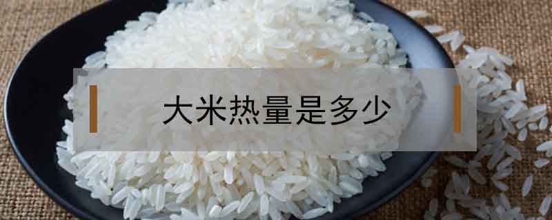 大米熱量是多少