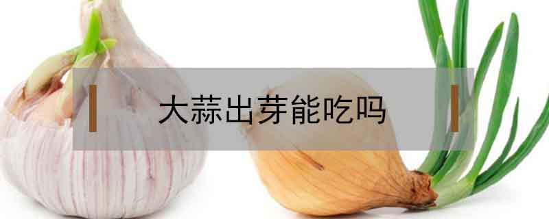 大蒜出芽能吃嗎