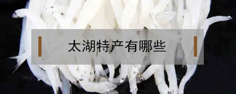 太湖特產有哪些
