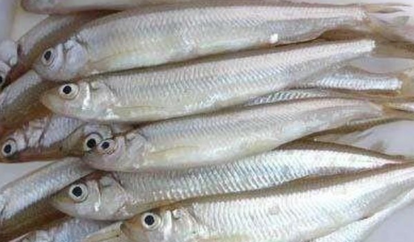 寧海特產土特產有哪些