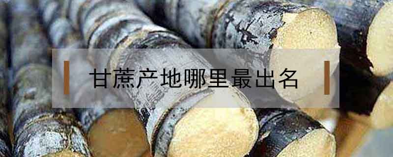 甘蔗產地哪里最出名