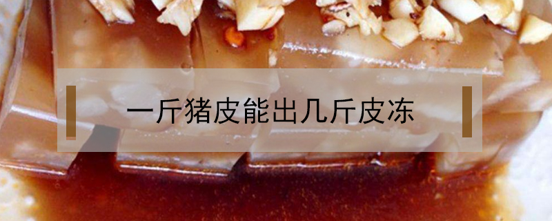 一斤豬皮能出幾斤皮凍