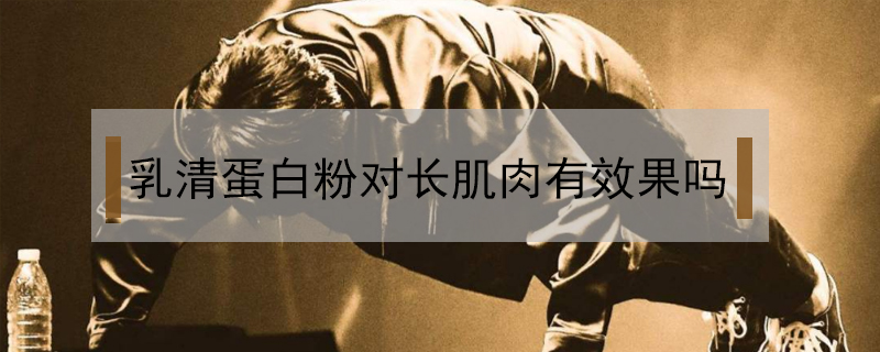 乳清蛋白粉對長肌肉有效果嗎