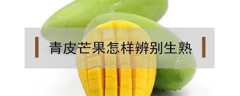 青皮芒果怎樣辨別生熟