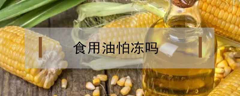 食用油怕凍嗎