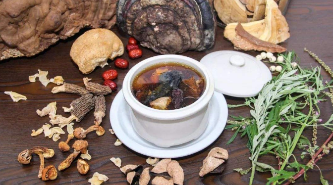 鮮靈芝怎么食用