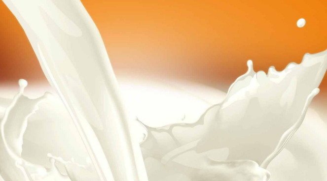 乳清蛋白和增肌粉的區別是什么