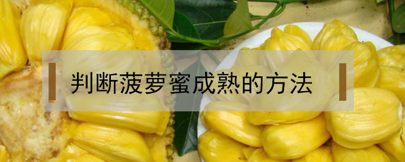 判斷菠蘿蜜成熟的方法