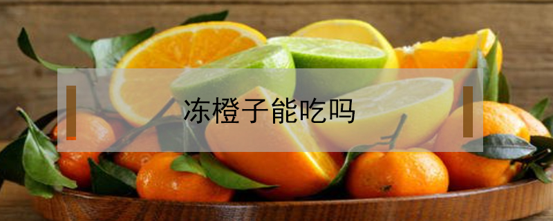 凍橙子能吃嗎