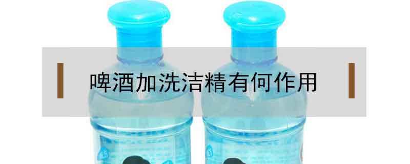 啤酒加洗潔精有何作用