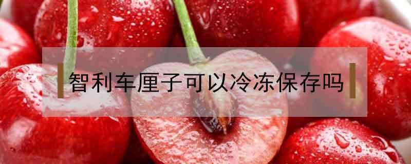 智利車厘子可以冷凍保存嗎