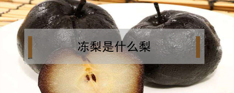 凍梨是什么梨