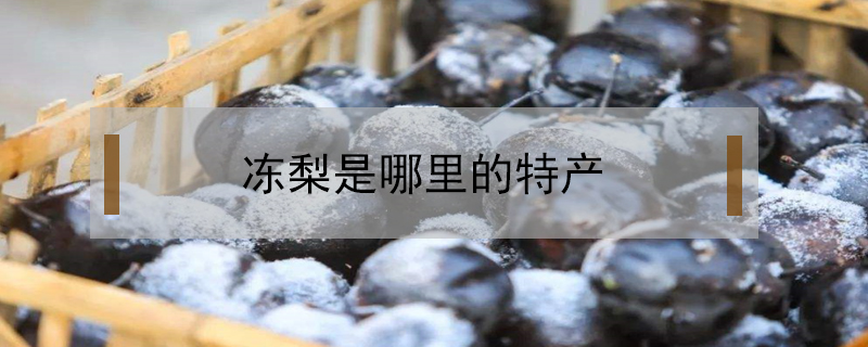 凍梨是哪里的特產