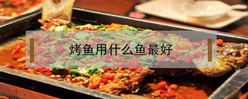 烤魚用什么魚最好