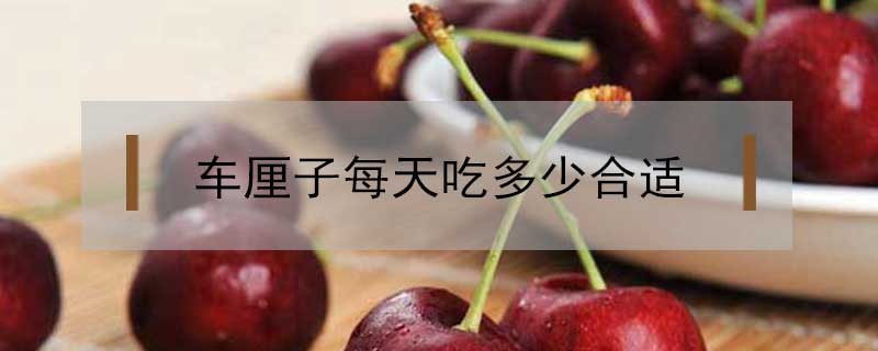 車厘子每天吃多少合適